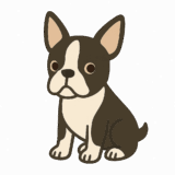 ボストンテリアのフリーイラストです