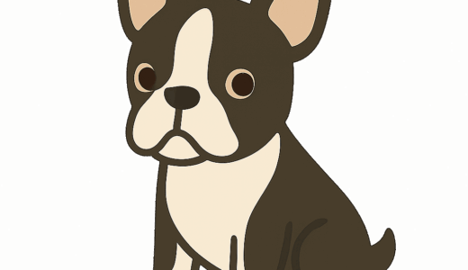 ボストンテリアのイラスト