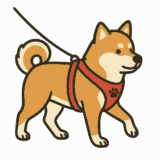 ハーネスを付けて散歩している柴犬のフリーイラスト