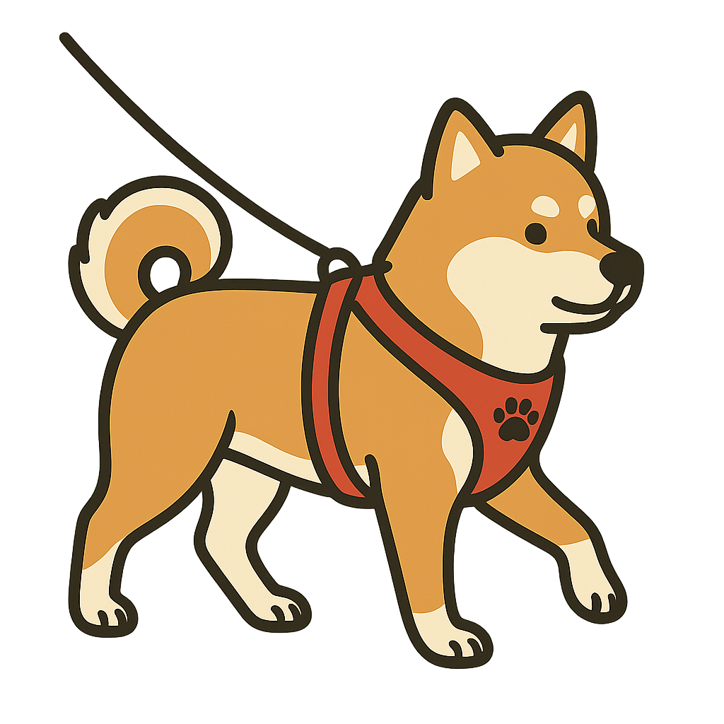 ハーネスを付けて散歩している柴犬のフリーイラスト