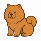 チャウチャウのフリーイラストです