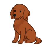 アイリッシュセッターのフリーイラストです