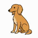 サルーキのフリーイラストです