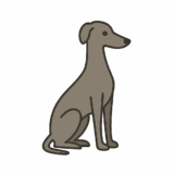 グレイハウンドのフリーイラストです