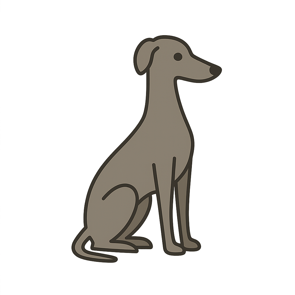 グレイハウンドのフリーイラストです