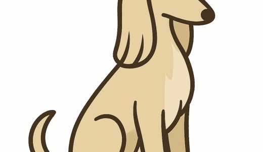 アフガンハウンドのイラスト