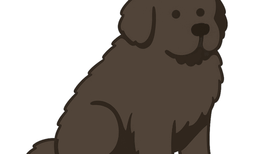 ニューファンドランドのイラスト