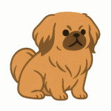 ペキニーズのフリーイラストです