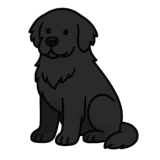 ニューファンドランドのフリーイラストです