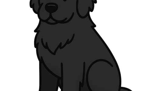 ニューファンドランドのイラスト