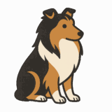 シェットランドシープドッグのフリーイラストです