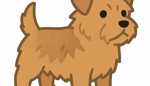 ノーフォークテリアのイラスト