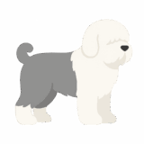 オールドイングリッシュシープドッグのフリーイラストです