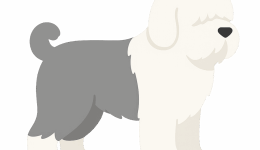 オールドイングリッシュシープドッグのイラスト