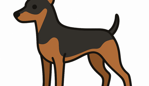 ミニチュアピンシャーのイラスト