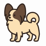 パピヨンのイラストです