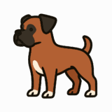 ボクサーのフリーイラストです