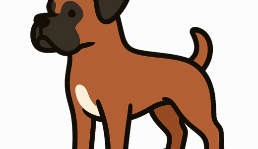 ボクサーのイラスト