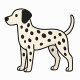 ダルメシアンのフリーイラストです