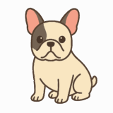 フレンチブルドッグのフリーイラストです