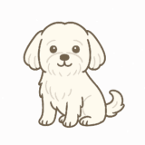 マルチーズのフリーイラストです