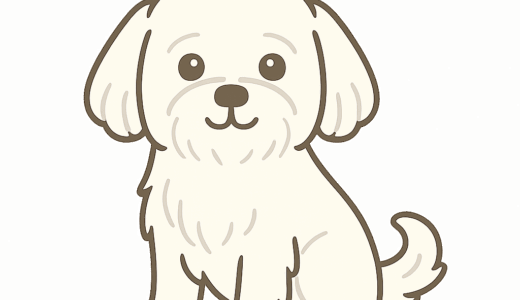 マルチーズのイラスト