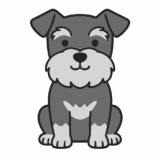 ミニチュアシュナウザーのフリーイラストです