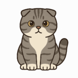 スコティッシュフォールドのフリーイラストです