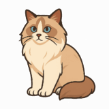 メインクーンのフリーイラストです