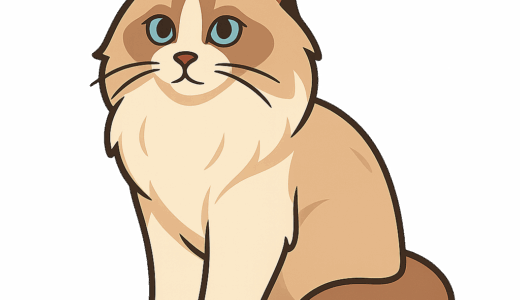 メインクーンのイラスト