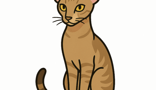 オリエンタルショートヘアのイラスト