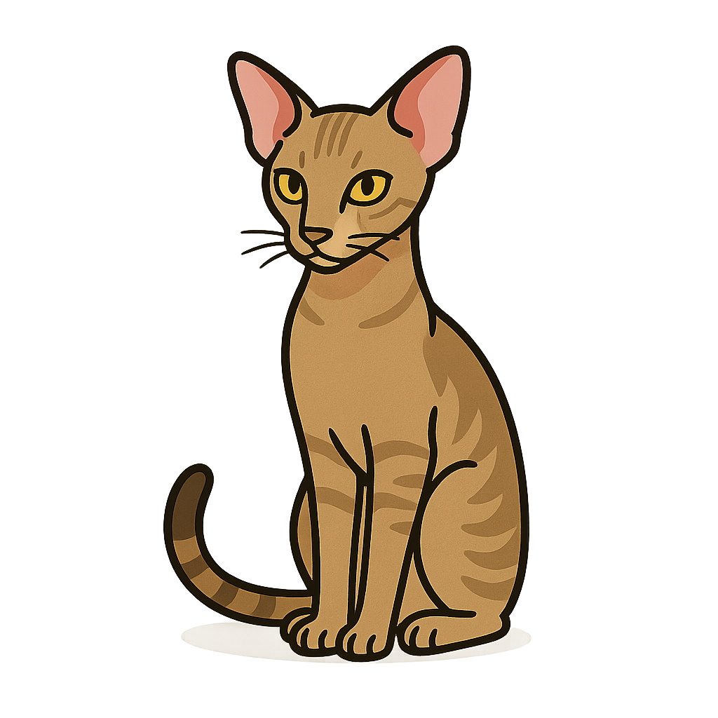 オリエンタルショートヘアのフリーイラストです！