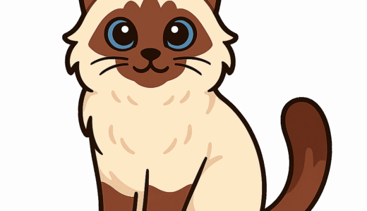 バーマンのイラスト