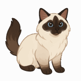 ラグドールのフリーイラストです