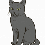 ロシアンブルーのフリーイラストです