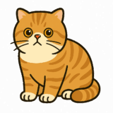 エキゾチックショートヘアのフリーイラストです！