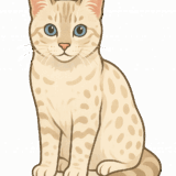 ベンガルスノーのフリーイラストです！