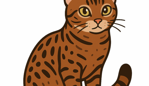 オシキャットのイラスト