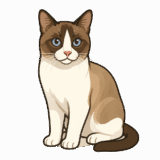 スノーシューのフリーイラストです