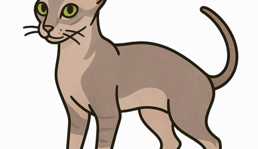 ピーターボールドのイラスト