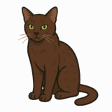 ハバナブラウンのイラストです（背景透過png）