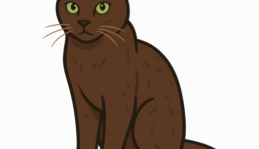 ハバナブラウンのイラスト