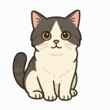 ミヌエットのイラスト（背景透過png）