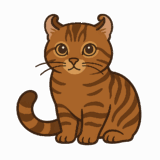 キンカローのイラスト（背景透過png）