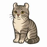 アメリカンカールのイラストです（背景透過png）