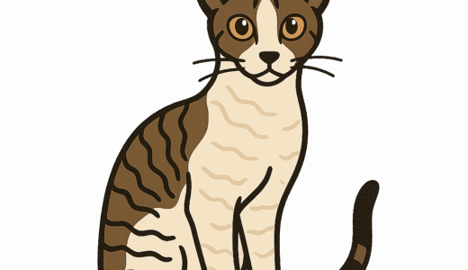 コーニッシュレックスのイラスト
