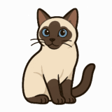 カラーポイントショートヘアのイラスト（背景透過png）