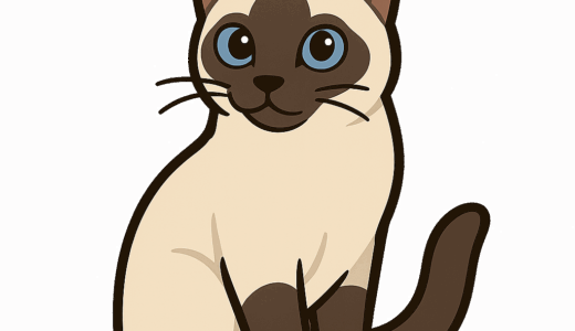 カラーポイントショートヘアのイラスト