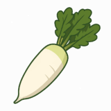 大根のイラストです（背景透過png）
