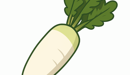 大根のイラスト